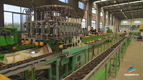 المنتدى الأول لخدمات توحيد منشأ الفاكهة