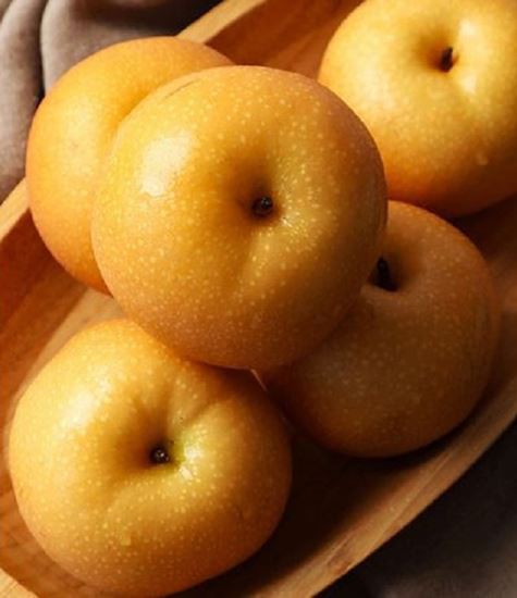 أصناف الكمثرى