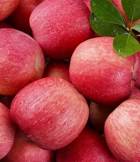 جميع أنواع التفاح