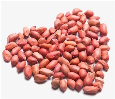 حبات فول سوداني خام كبيرة طازجة