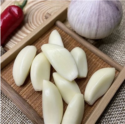 زراعة الثوم الفضاء