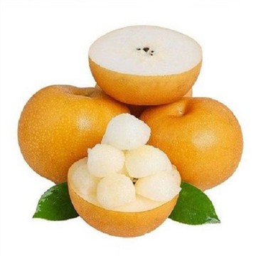 Qiuyue الآسيوية الكمثرى